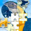 puzzle challenge