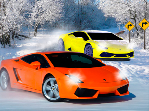 Snow Observe Racing 3-D